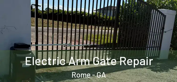 Electric Arm Gate Repair Rome - GA